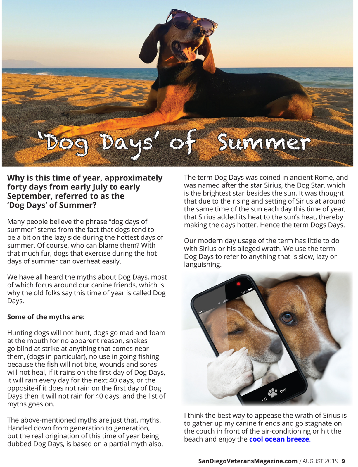 Dog Days of Summer Tribute to Service Dogs San Diego Veterans Magazine