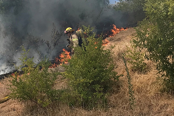 San Diego Fire-Rescue Department