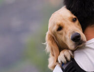 Puppies Do Push-Ups for PTSD Awareness Month – Saturday, June 25th