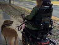 (CST) Providing Veterans with Service Dogs at No Cost