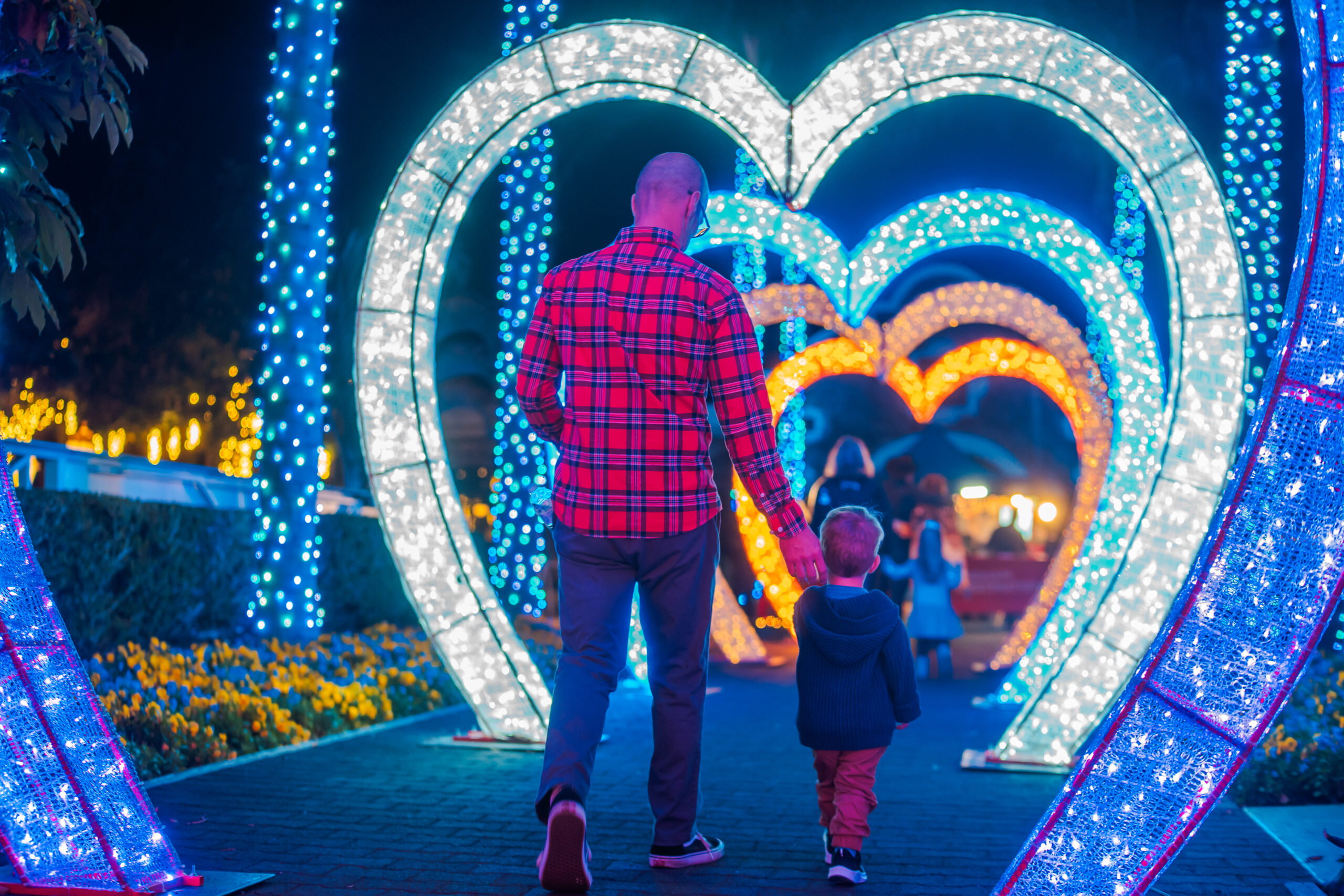 Coastal Christmas a Holiday Light Spectacular San Diego Veterans Magazine