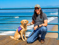 Dog Days of Summer — Tribute to Service Dogs