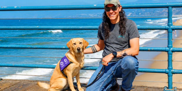 Dog Days of Summer — Tribute to Service Dogs